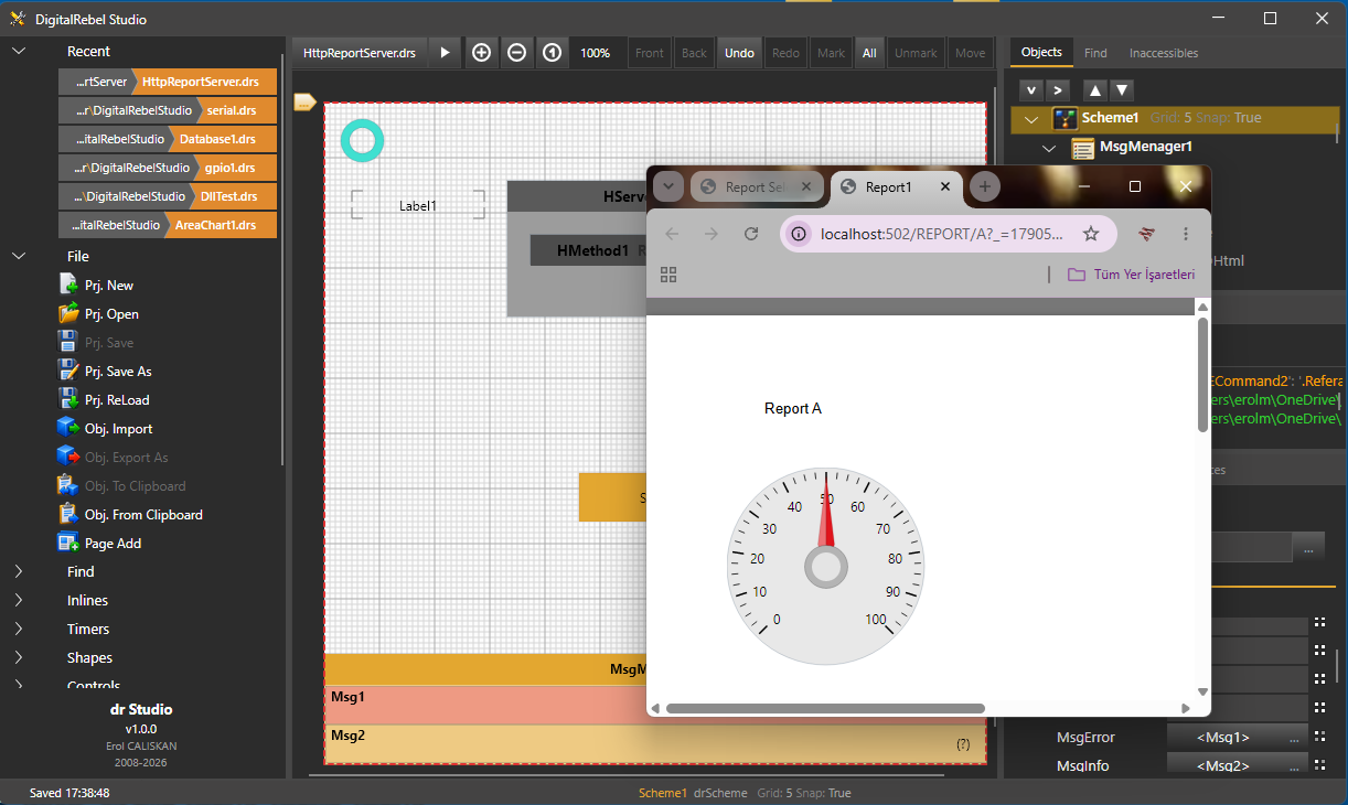 A report with a live gauge opened in a web browser, served by the panel.